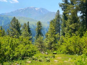 Nature's Beauty of Naran, Kaghan, Saif ul Malook Lake, and Babusar Top