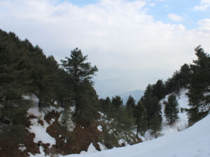 Glimpse of Paradise